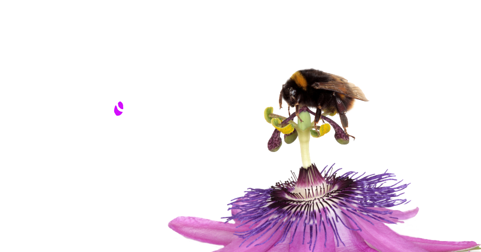 So cool it hurts