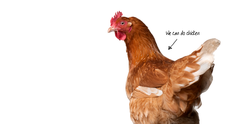 Crazy rock star fabulous events