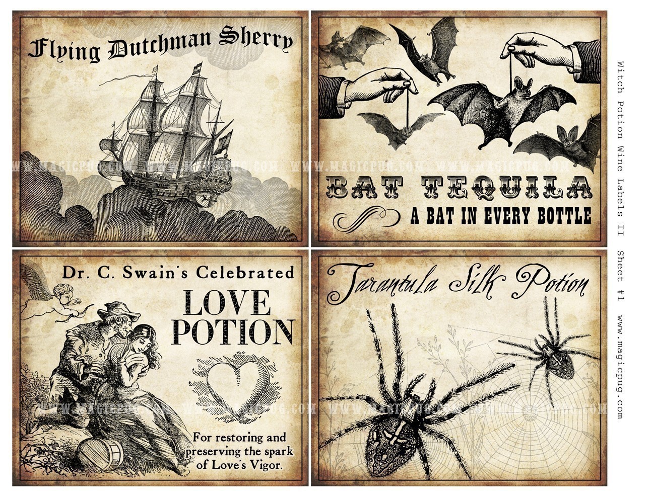 Witch Wine Labels by Magicpug.com